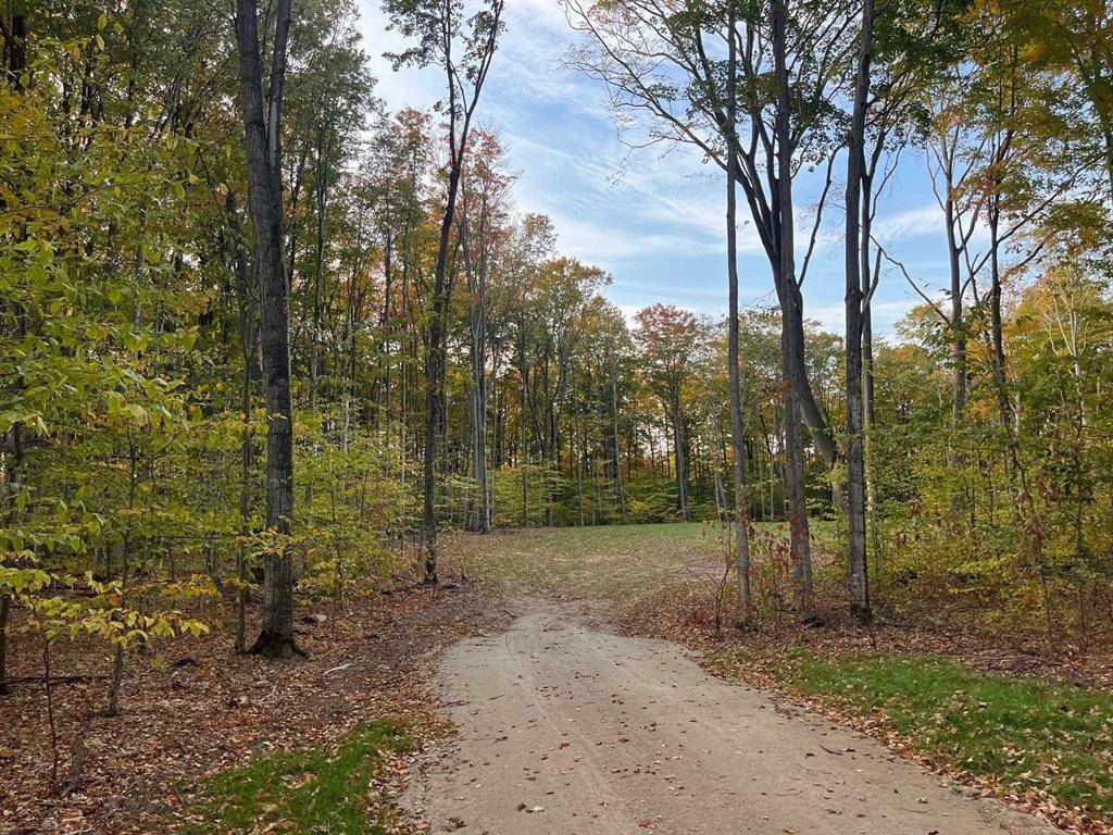 Kasson Twp, MI 49664,03 S Bright Road Lot: 3