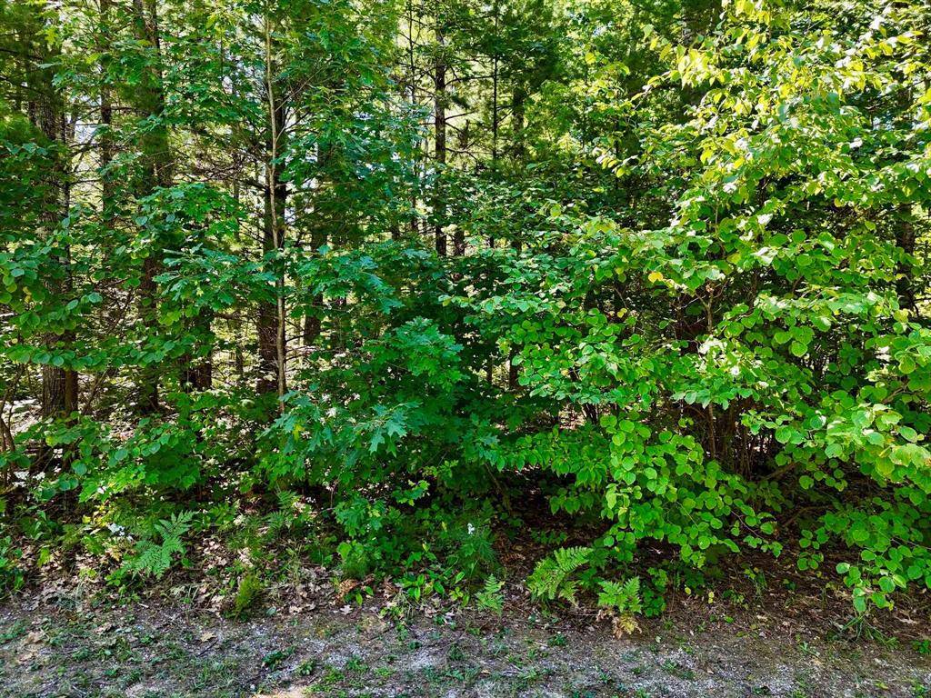 Kalkaska Twp, MI 49646,2200 Driftwood Lane Lot: 8