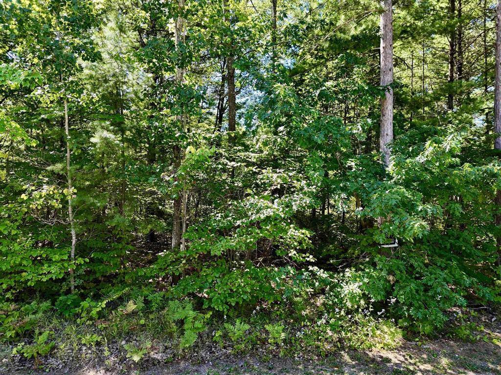 Kalkaska Twp, MI 49646,2200 Driftwood Lane Lot: 8