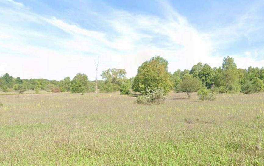 Colfax Twp, MI 49683,Unit 2 North Street