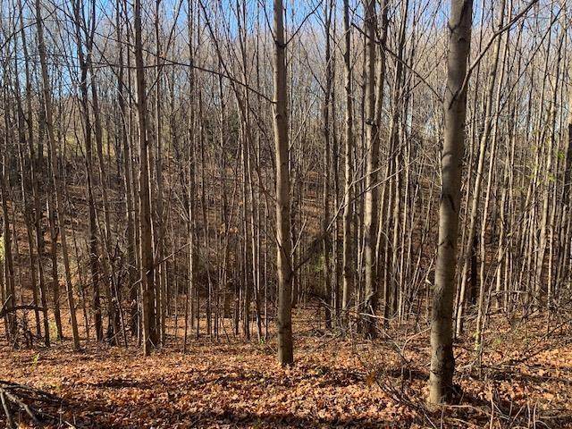 Elmwood Twp, MI 49684,S Skye Hill Drive