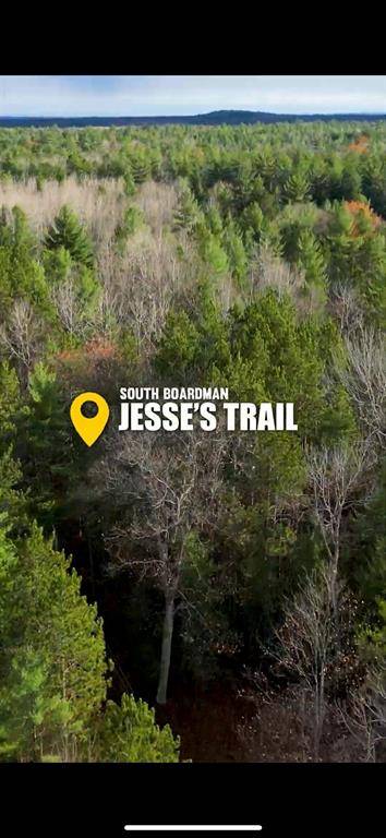 Boardman Twp, MI 49680,C SW Jesses Trail