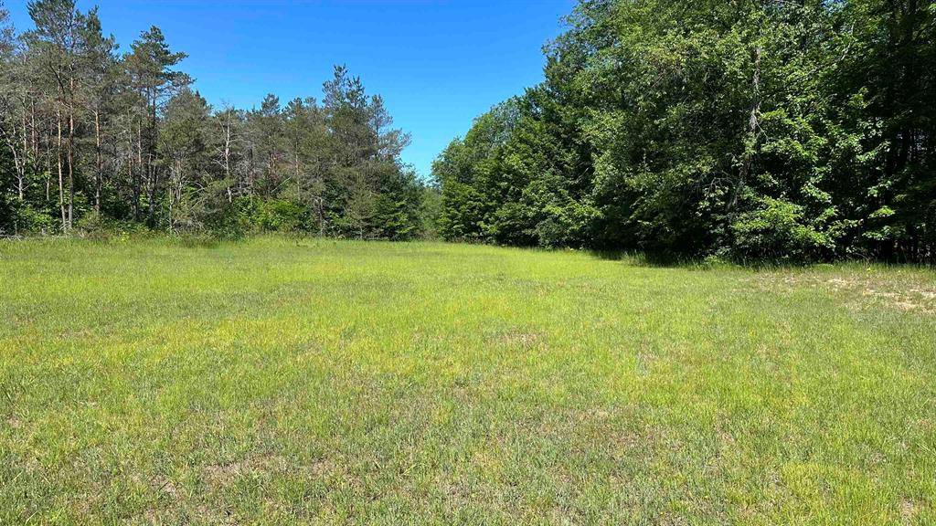 Excelsior Twp, MI 49646,371 Kleehammer Club Drive Lot: 22