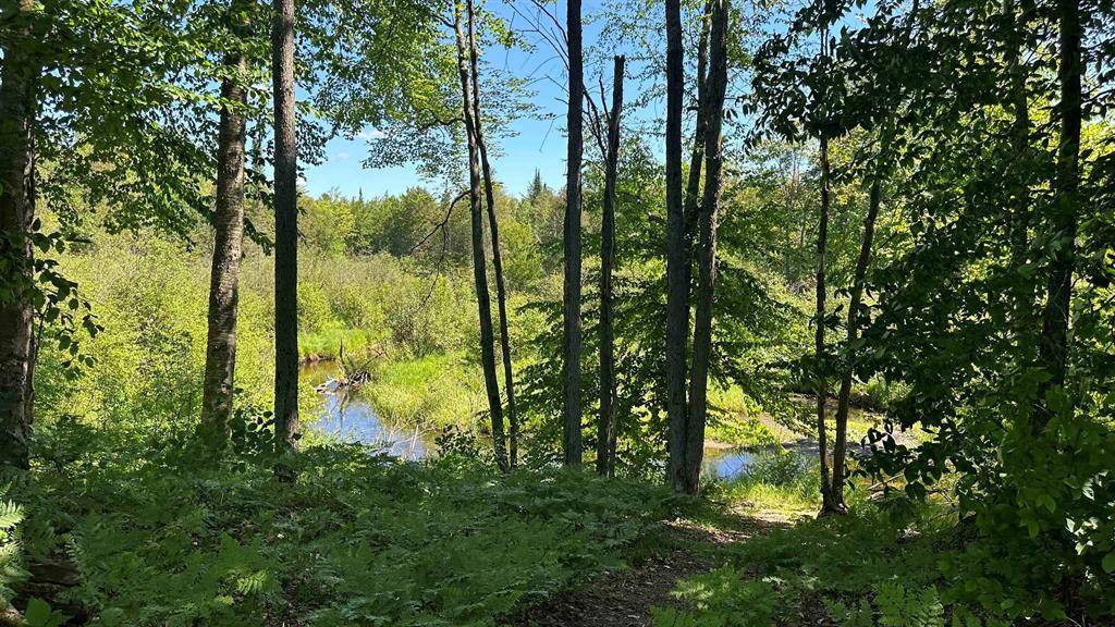 Excelsior Twp, MI 49646,371 Kleehammer Club Drive Lot: 22