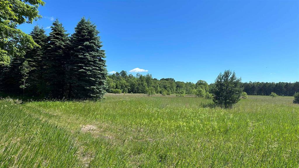 Excelsior Twp, MI 49646,431 Kleehammer Club Drive Lot: 24