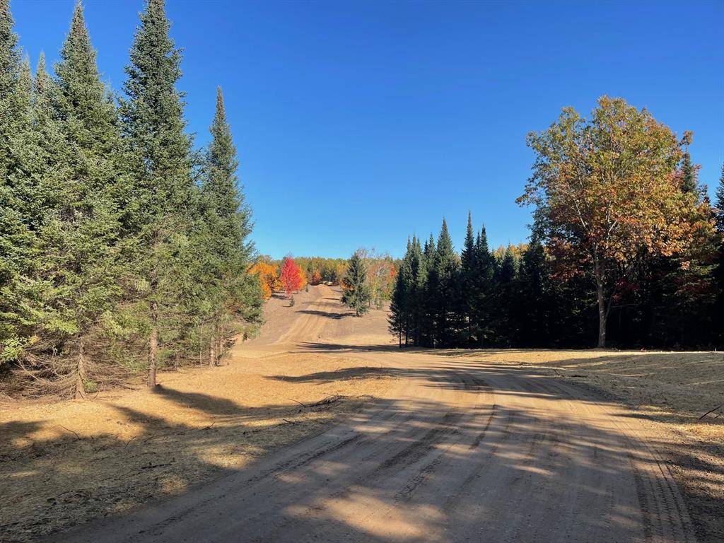 Springfield Twp, MI 49633,Lot 2 S Snyder Road, SW