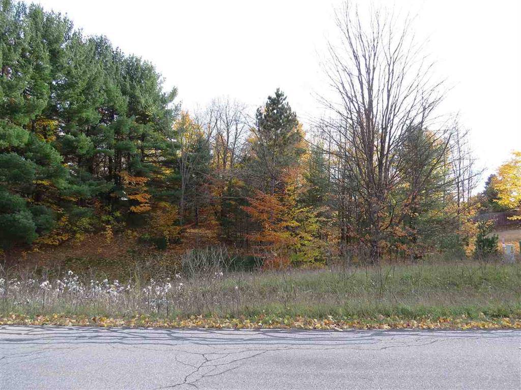 Paradise Twp, MI 49649,Lot 63 Eden Street Lot: 63