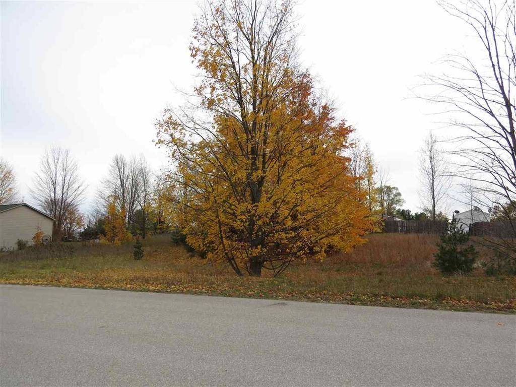 Paradise Twp, MI 49649,Lot 66 Eden Street Lot: 66