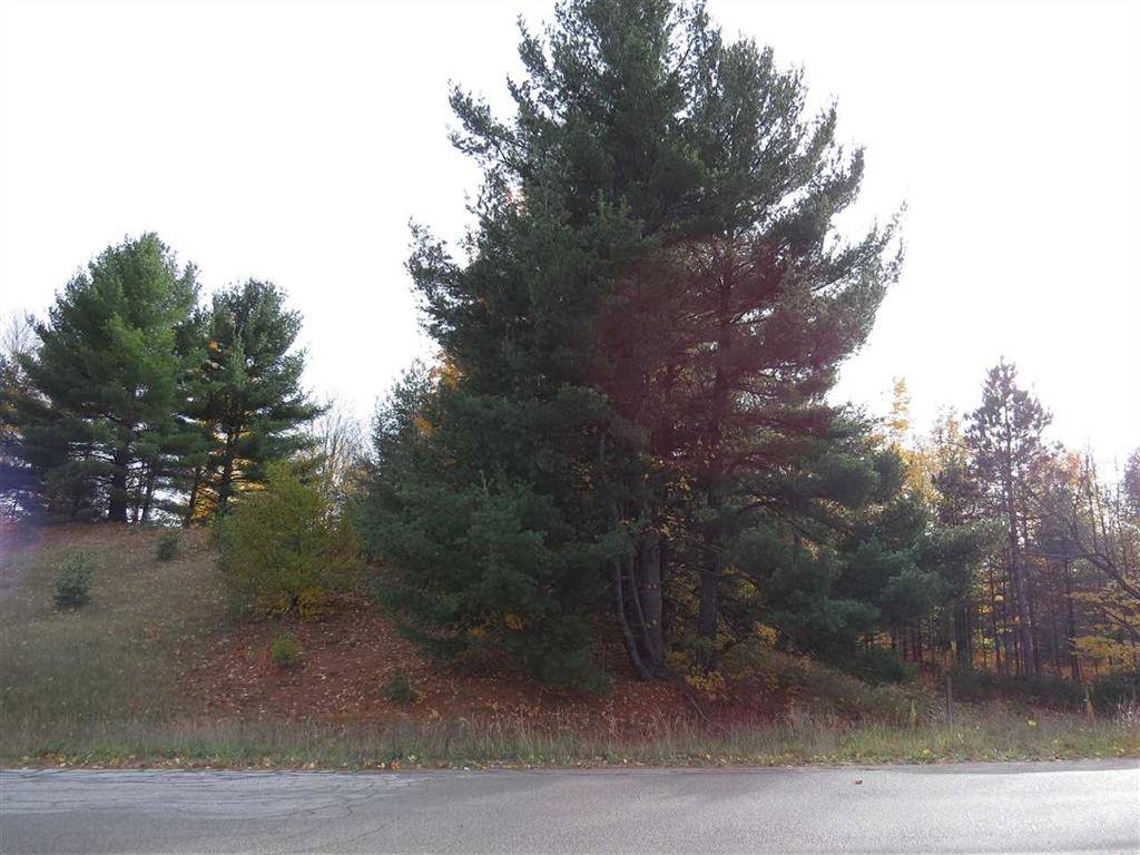 Paradise Twp, MI 49649,Lot 62 Eden Street Lot: 62