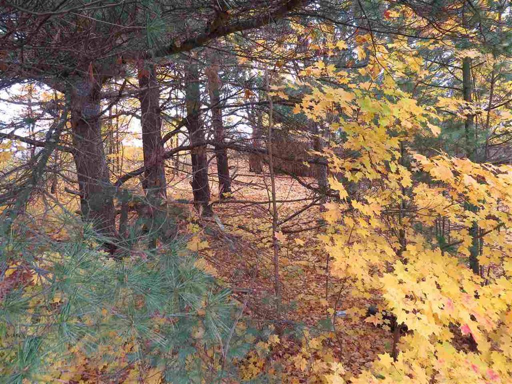 Paradise Twp, MI 49649,Lot 69 Eden Street Lot: 69