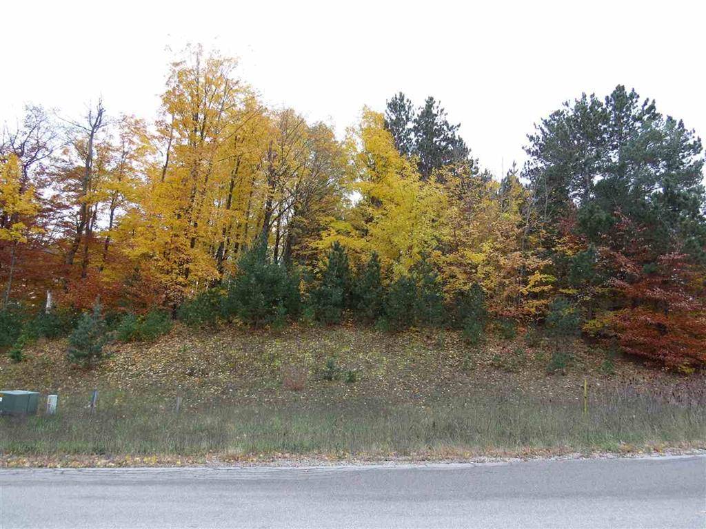 Paradise Twp, MI 49649,Lot 90 Eden Street Lot: 90