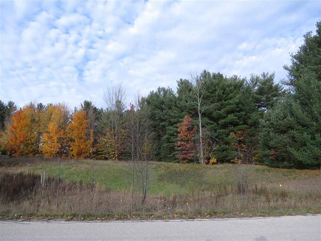 Paradise Twp, MI 49649,Lot 95 Eden Street Lot: 95