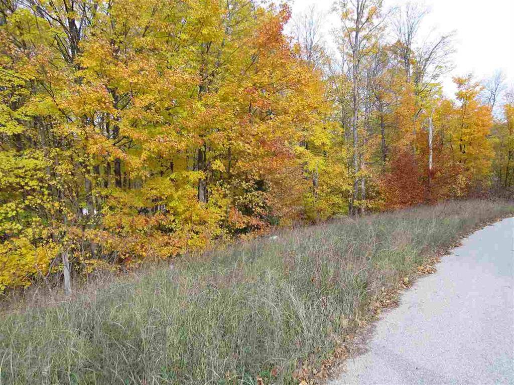 Paradise Twp, MI 49649,Lot 79 Eden Street Lot: 79