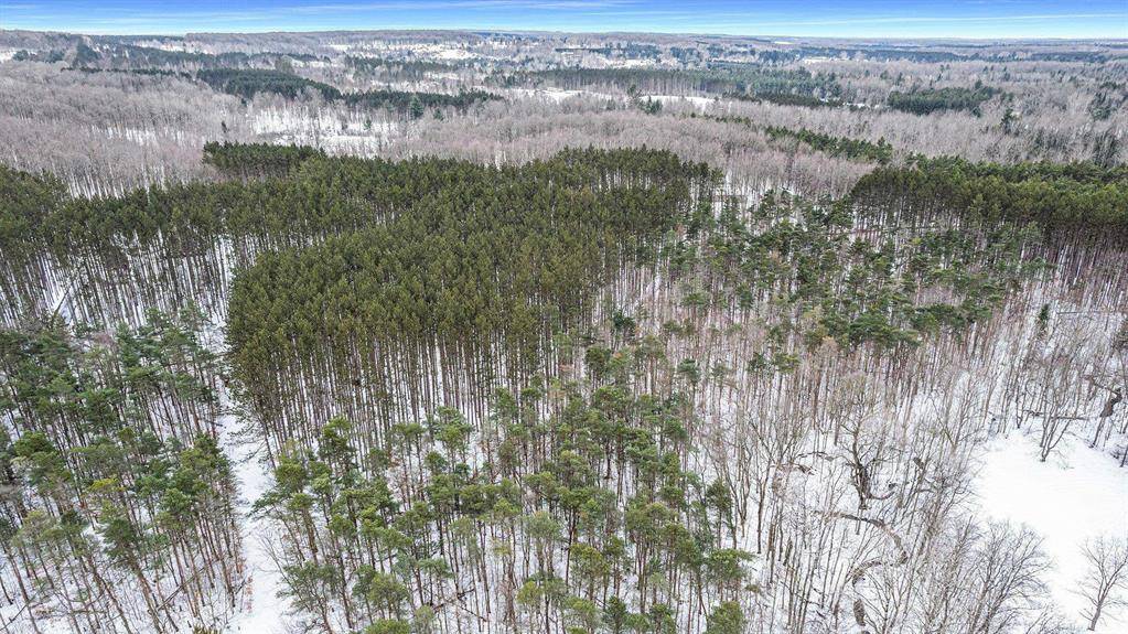 Kalkaska Twp, MI 49646,5-C Preston Road NE