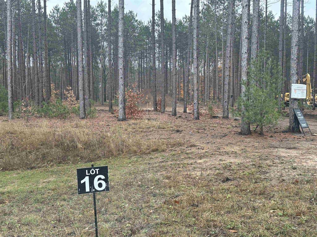 Traverse City, MI 49685,1890 Cascade Trail Lot: 16