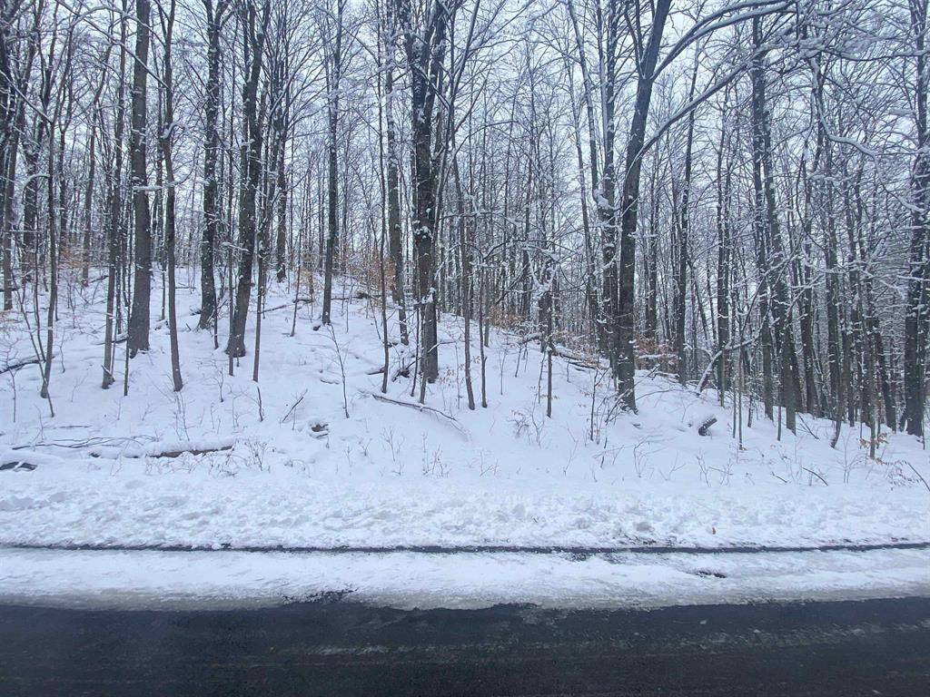 Kearney Twp, MI 49615,Lot 130 Maromir Court