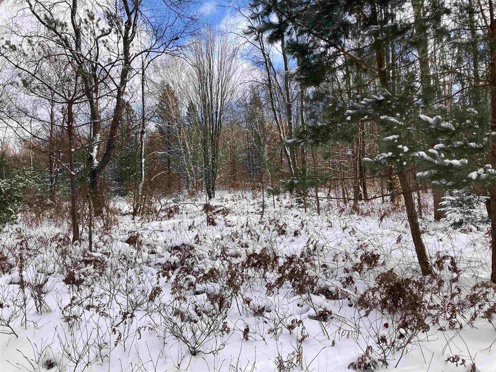 Richland Twp, MI 49601,VL W Woodland Drive Lot: 42