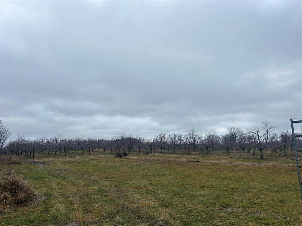 Central Lake Twp, MI 49622,0 N M-88