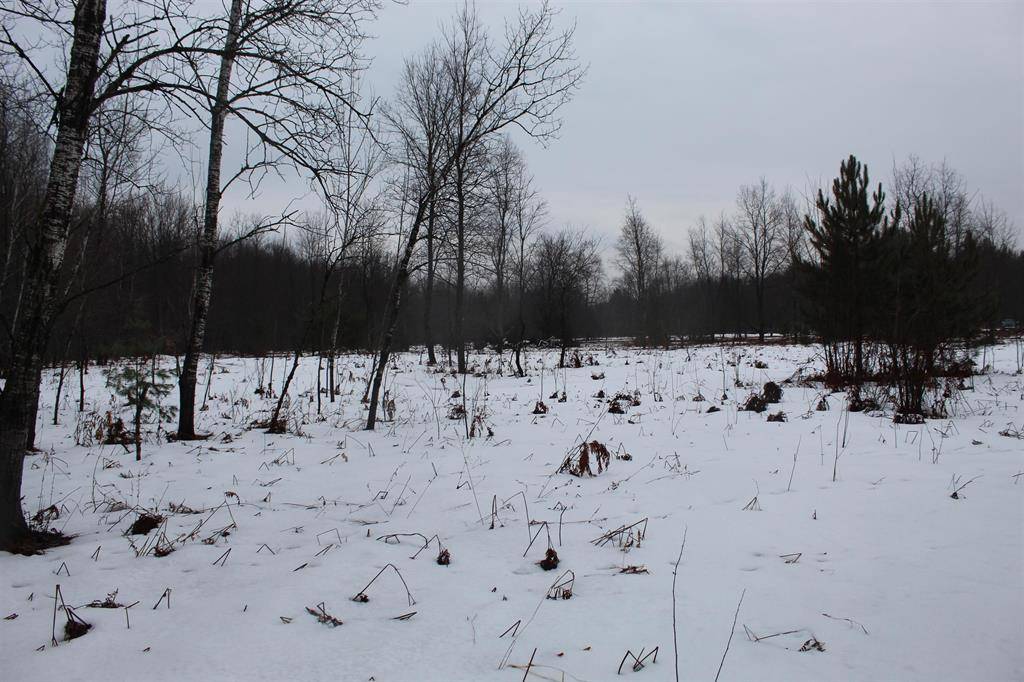 Colfax Twp, MI 49683,15906 Lindy Road