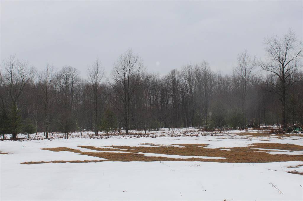 Colfax Twp, MI 49683,15906 Lindy Road