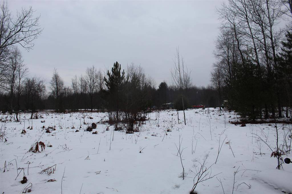 Colfax Twp, MI 49683,15906 Lindy Road