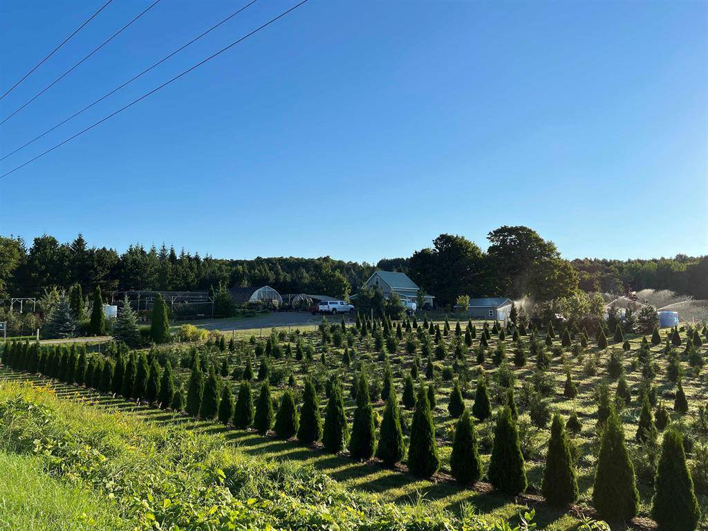 Leelanau Twp, MI 49670,7740 N Swede Road
