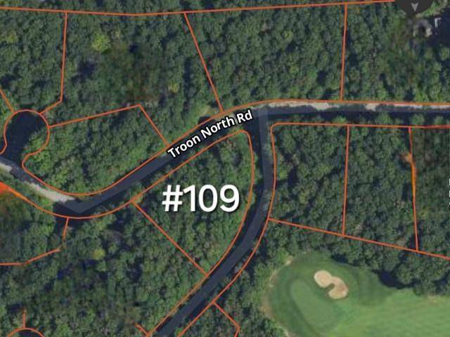Kearney Twp, MI 49615,109 Troon North Lot: 109