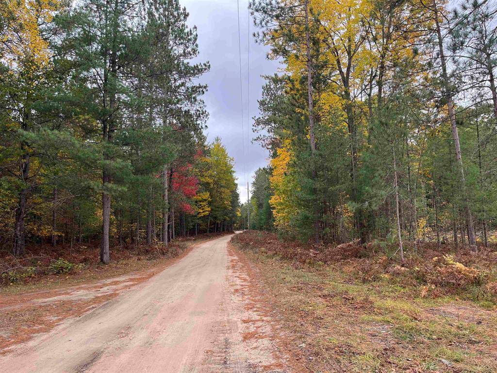 Boardman Twp, MI 49680,Twins Trail Lot: B