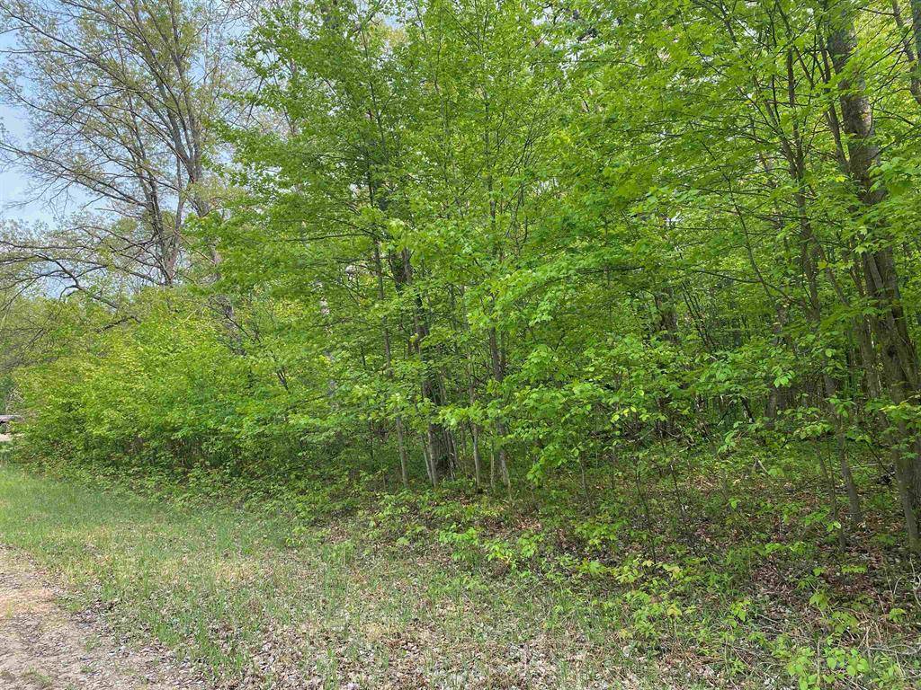 Cedar Twp, MI 49677,Fribourg Drive Lot: 421