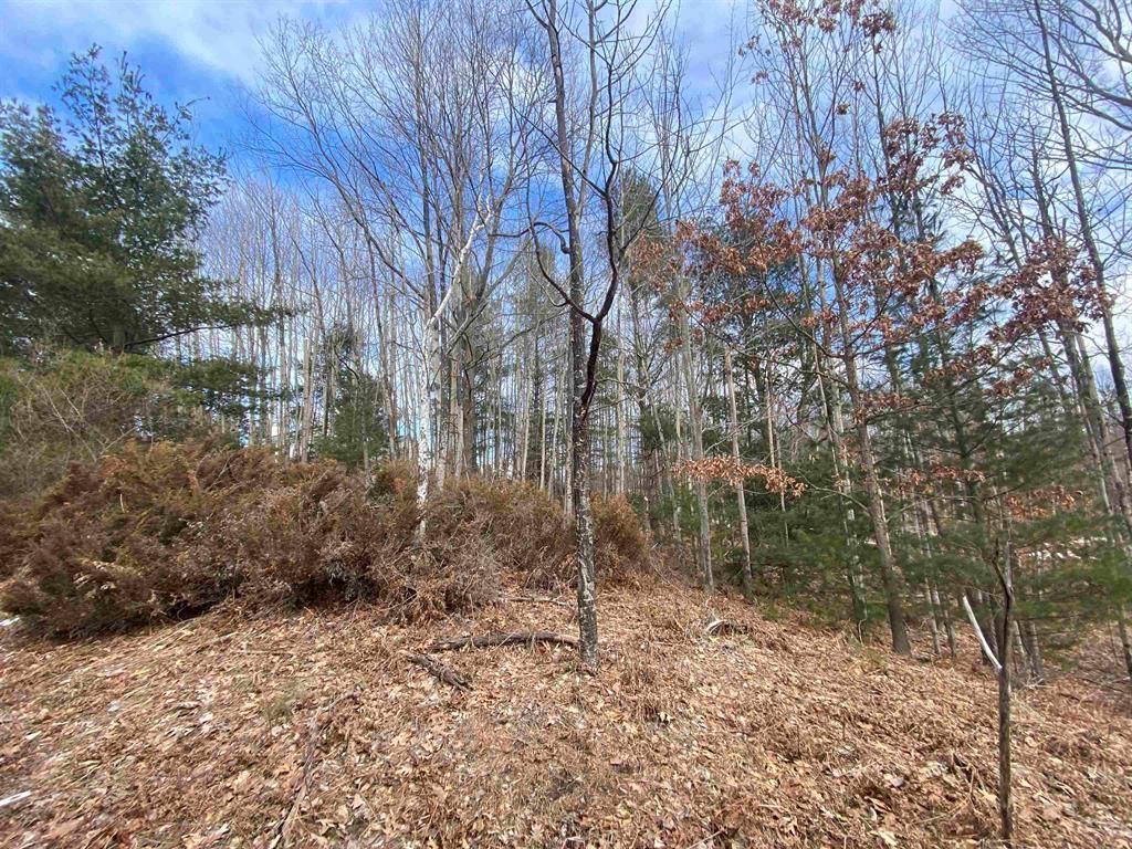 Acme Twp, MI 49690,Lot 31 Scenic Hills Drive