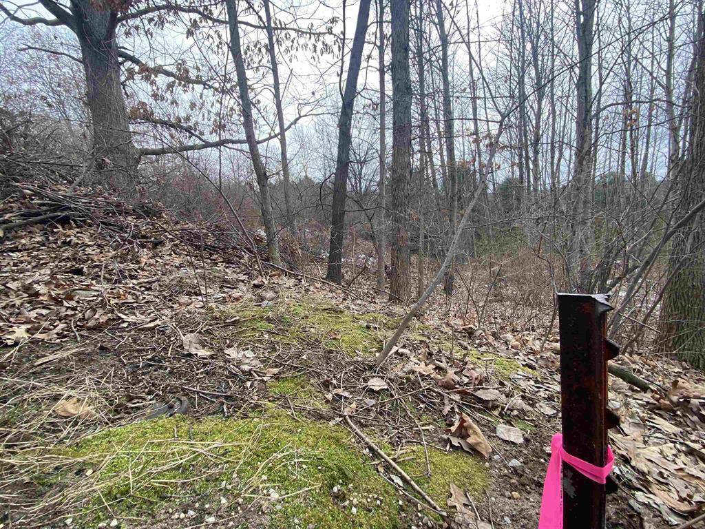 Acme Twp, MI 49690,Lot 38 Kirkridge Drive Lot: 38
