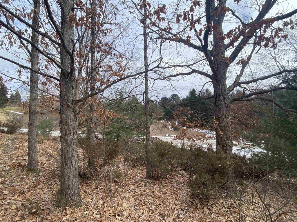 Acme Twp, MI 49690,Lot 38 Kirkridge Drive Lot: 38