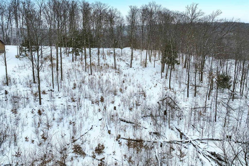 Evangeline Twp, MI 49712,Lot 11 Connemara Drive