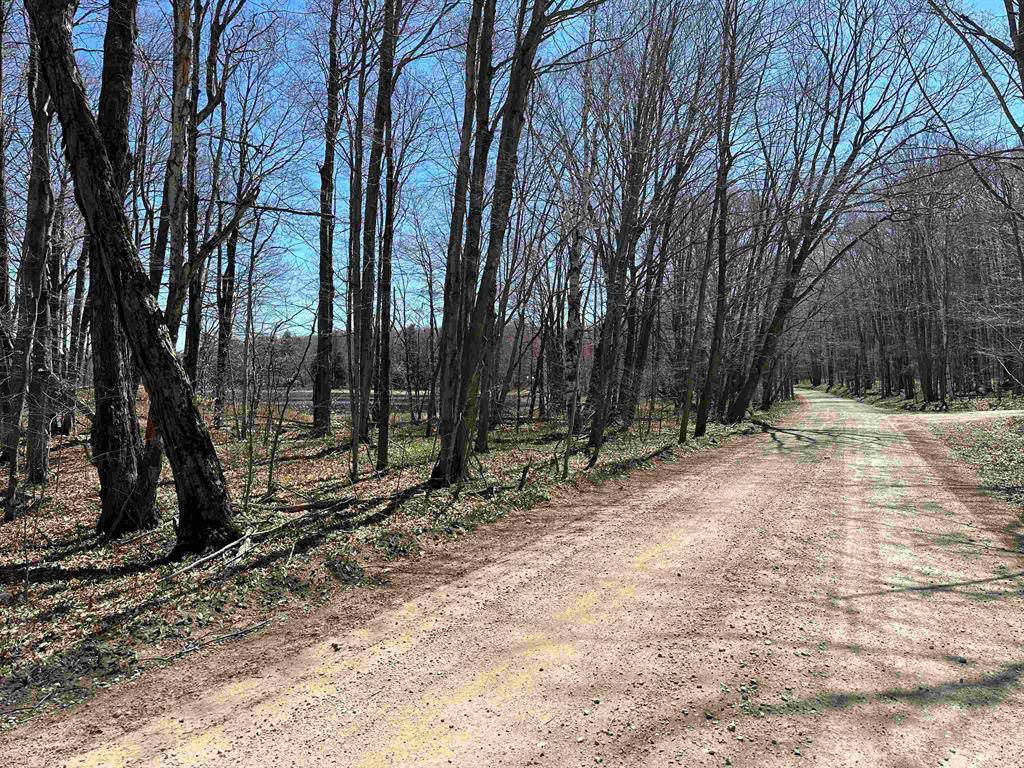 Peaine Twp, MI 49782,TBD West Side Drive