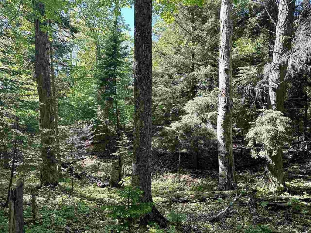 Peaine Twp, MI 49782,Lots 56 & 57 Spaulding Drive