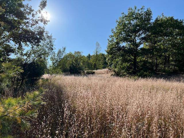 White Water Twp, MI 49690,Deal Road