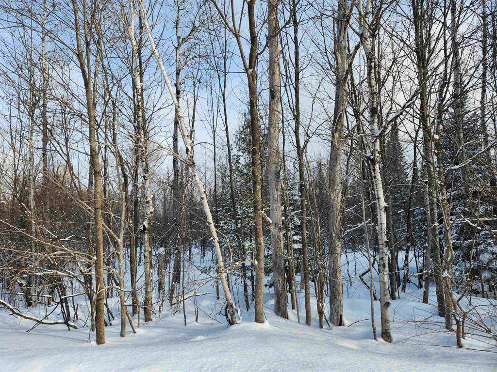 Rapid River Twp, MI 49676,TBD Valley Road, Nw