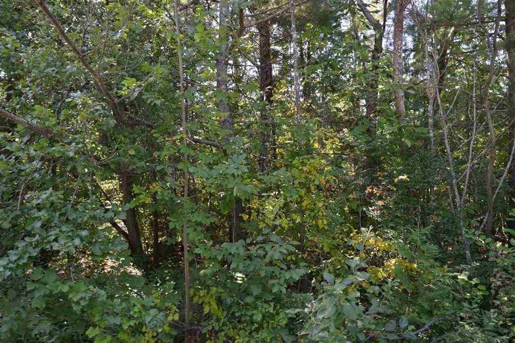 Elk Rapids Twp, MI 49629,0000 Elm Street