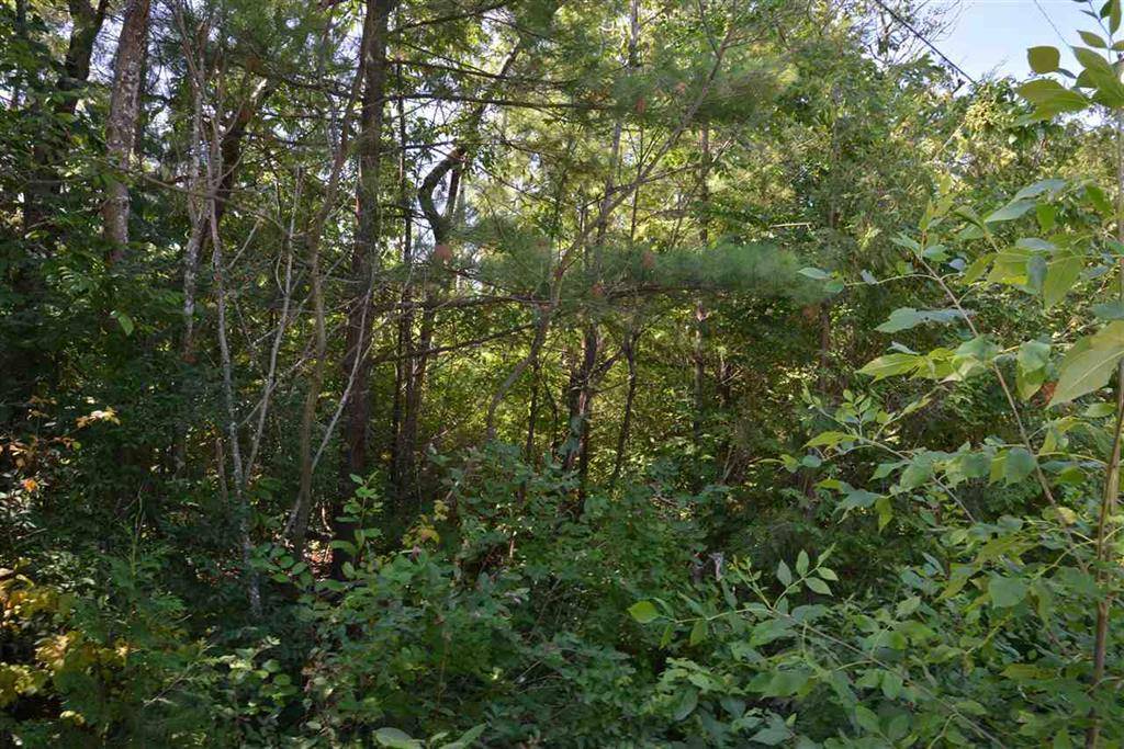 Elk Rapids Twp, MI 49629,000 Elm Street
