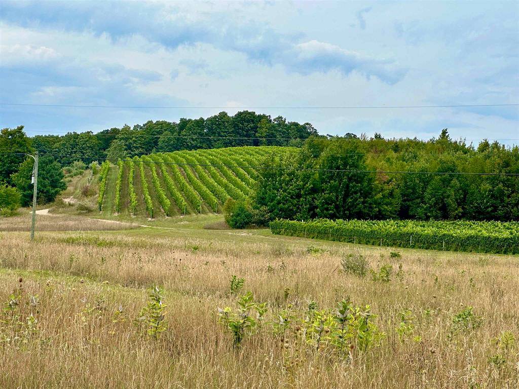 Suttons Bay Twp, MI 49682,00000 E Duck Lake Road