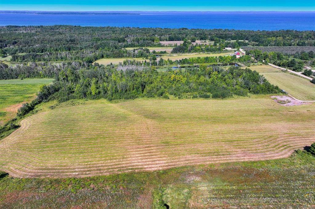 Torch Lake Twp, MI 49648,000 Coleman Road