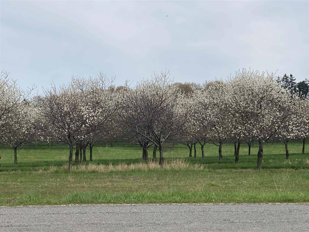 Milton Twp, MI 49676,10402 Western Road 1 Lot: 1