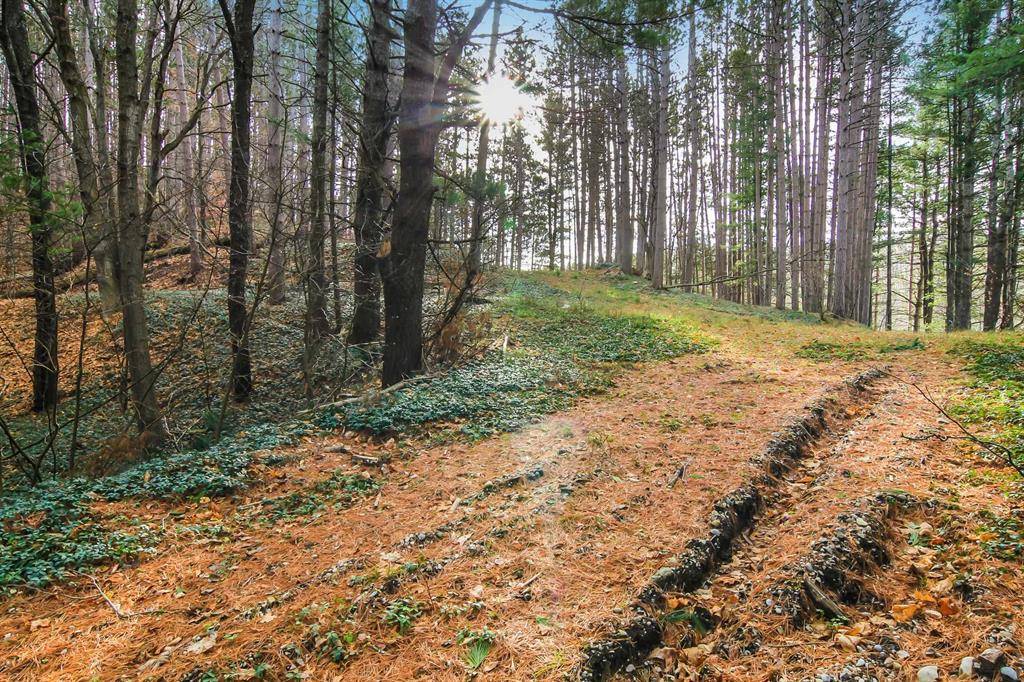 Long Lake Twp, MI 49684,5172 Cedar Valley Road