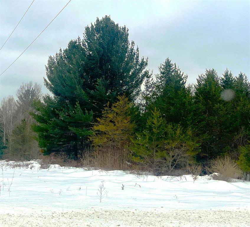 Springdale Twp, MI 49683,17461 Springdale Road