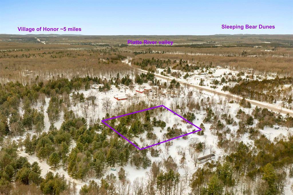 Inland Twp, MI 49643,2.5 Witz End Drive