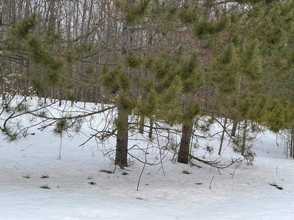 Pioneer Twp, MI 49651,VL W Rhoby Road
