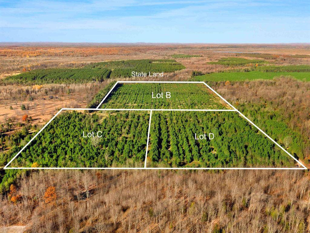 Colfax Twp, MI 49683,15 Acres D Wallin Road
