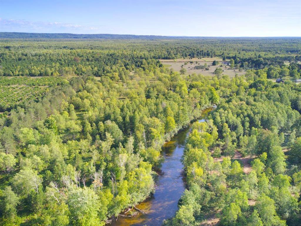 Colfax Twp, MI 49683,15 Acres C Wallin Road