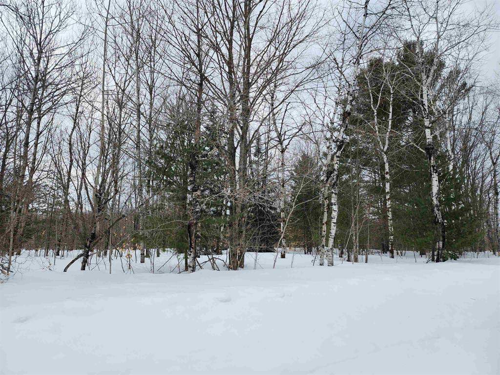 Mancelona Twp, MI 49659,Lot 689,690,691 Wildomar Drive