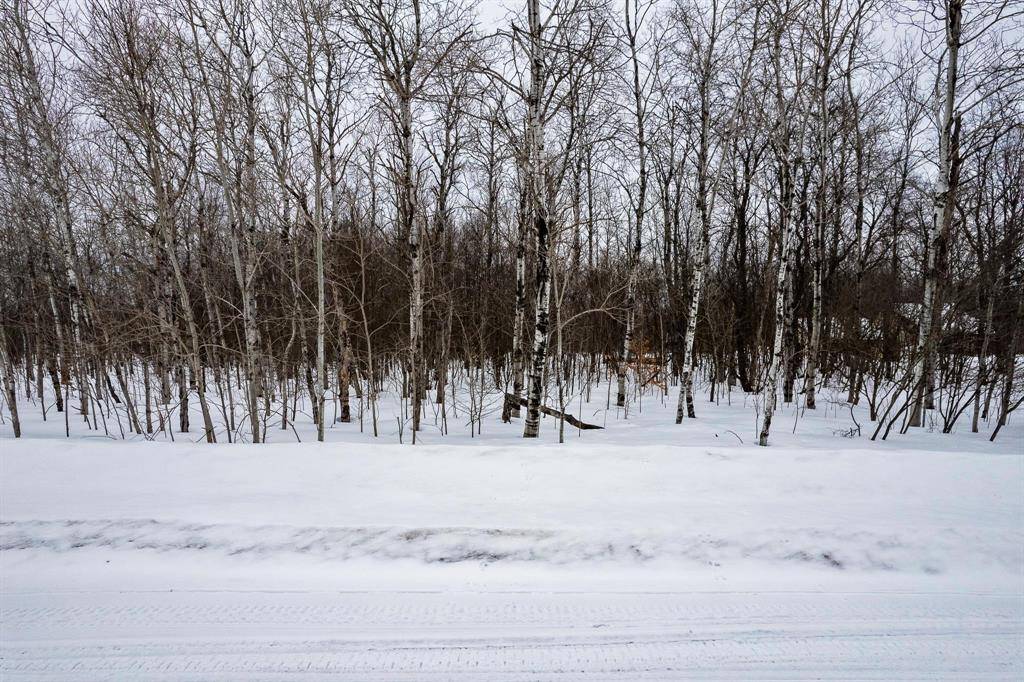 Mancelona Twp, MI 49659,V/L Southwood Drive